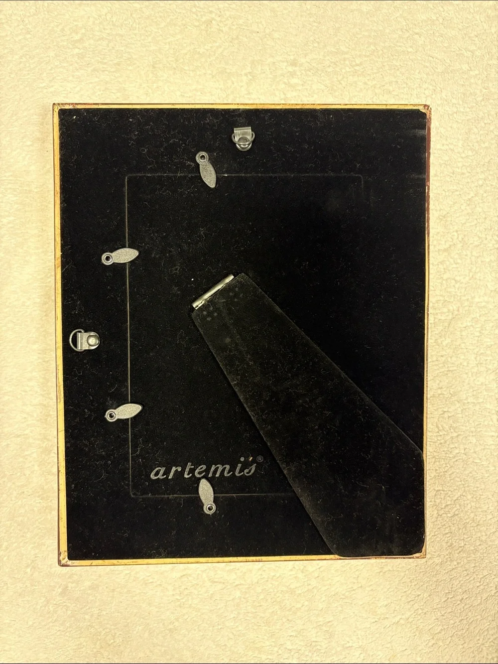 Artemis Design Co. Gold Rope-Edge Decorative distressed Picture Frame